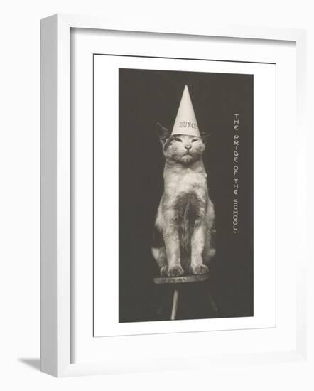 Cat in Dunce Cap-null-Framed Art Print