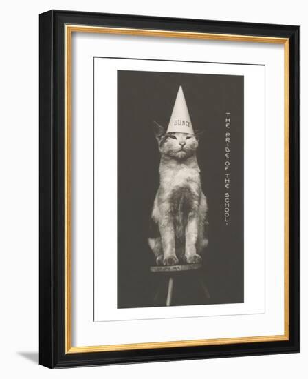 Cat in Dunce Cap-null-Framed Art Print