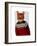 Cat in Ski Sweater-Fab Funky-Framed Art Print