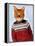 Cat in Ski Sweater-Fab Funky-Framed Stretched Canvas