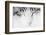Cat, Japan-Panoramic Images-Framed Photographic Print