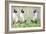 Cat Kins-Suzi Kennett-Framed Giclee Print