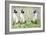 Cat Kins-Suzi Kennett-Framed Giclee Print