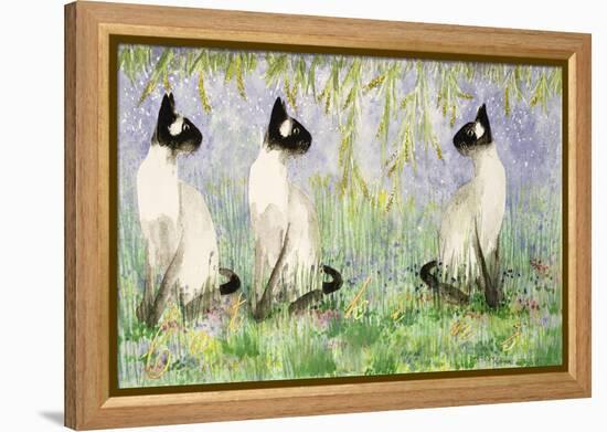 Cat Kins-Suzi Kennett-Framed Premier Image Canvas