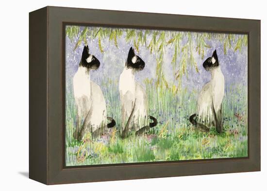 Cat Kins-Suzi Kennett-Framed Premier Image Canvas