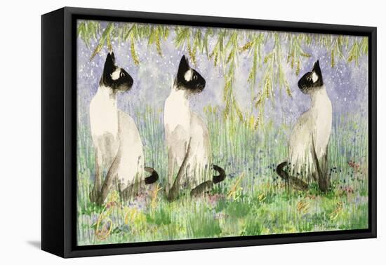 Cat Kins-Suzi Kennett-Framed Premier Image Canvas