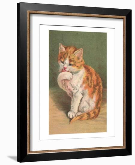 Cat Licking Paw-null-Framed Art Print