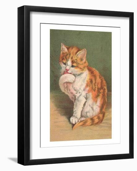 Cat Licking Paw-null-Framed Art Print
