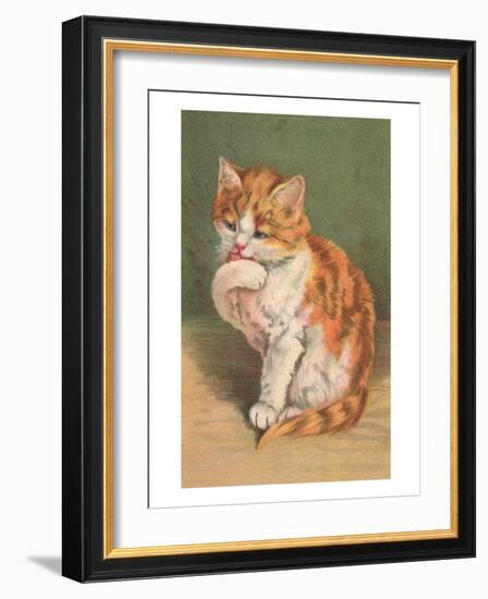 Cat Licking Paw-null-Framed Art Print