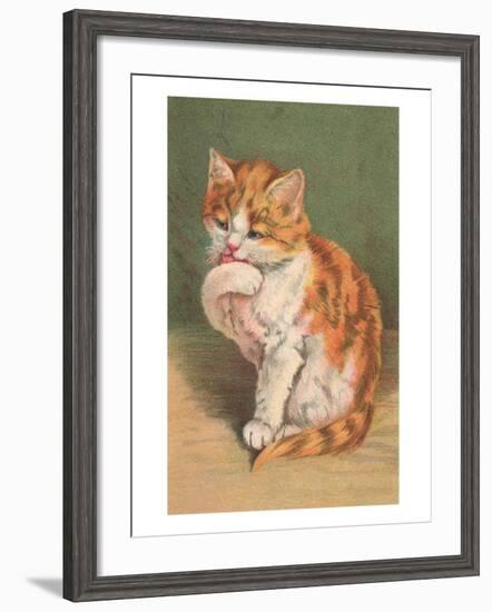 Cat Licking Paw-null-Framed Art Print