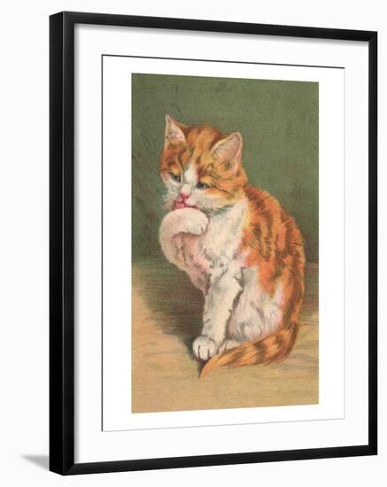 Cat Licking Paw-null-Framed Art Print