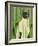 Cat Look 4-Artistan-Framed Art Print