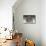 Cat Looks at Goldfish in Bowl-null-Mounted Photographic Print displayed on a wall