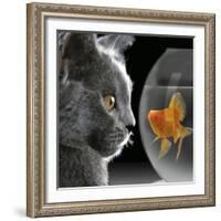 Cat Looks at Goldfish in Bowl-null-Framed Photographic Print