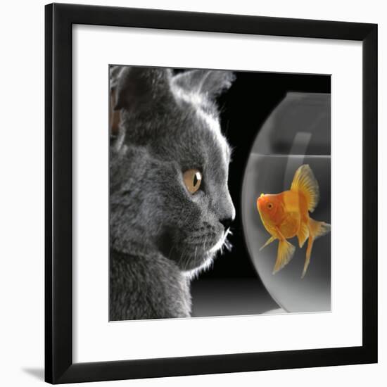 Cat Looks at Goldfish in Bowl-null-Framed Photographic Print