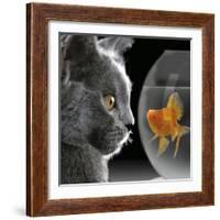 Cat Looks at Goldfish in Bowl-null-Framed Photographic Print