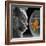 Cat Looks at Goldfish in Bowl-null-Framed Photographic Print