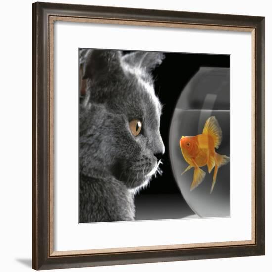 Cat Looks at Goldfish in Bowl-null-Framed Photographic Print