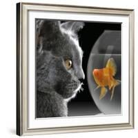 Cat Looks at Goldfish in Bowl-null-Framed Photographic Print