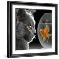 Cat Looks at Goldfish in Bowl-null-Framed Photographic Print