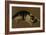 Cat lying down-Adriaen van de Velde-Framed Giclee Print