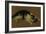 Cat lying down-Adriaen van de Velde-Framed Giclee Print