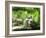 Cat Lying Outdoors In The Grass On A Lovely Summer Day-l i g h t p o e t-Framed Photographic Print