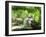 Cat Lying Outdoors In The Grass On A Lovely Summer Day-l i g h t p o e t-Framed Photographic Print