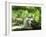 Cat Lying Outdoors In The Grass On A Lovely Summer Day-l i g h t p o e t-Framed Photographic Print