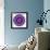 Cat Mandala X-David Sheskin-Framed Giclee Print displayed on a wall