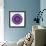 Cat Mandala X-David Sheskin-Framed Giclee Print displayed on a wall