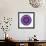 Cat Mandala X-David Sheskin-Framed Giclee Print displayed on a wall