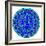 Cat Mandala XVII-David Sheskin-Framed Giclee Print