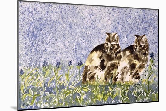 Cat Mint-Suzi Kennett-Mounted Giclee Print