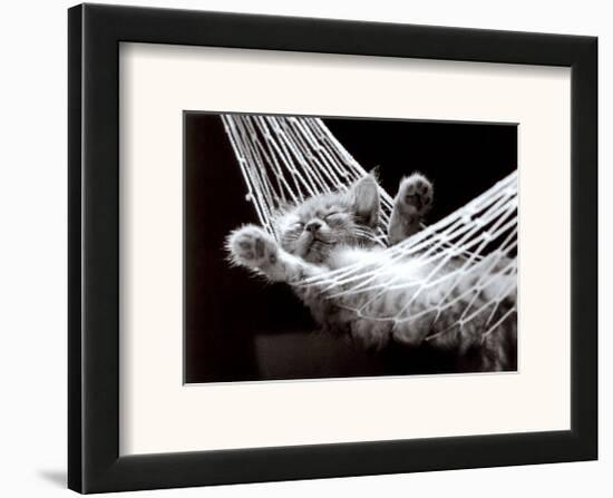 Cat Nap II-David Mcenery-Framed Art Print