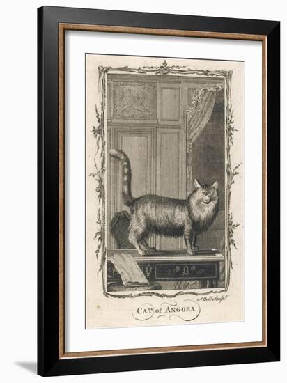 Cat of Angora-A Bell-Framed Art Print