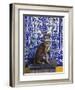 Cat of Portugal (Chat Du Portugal)-Isy Ochoa-Framed Giclee Print