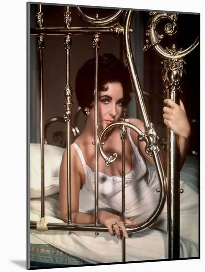 CAT ON A HOT TIN ROOF, 1958 directed by RICHARD BROOKS Elizabeth Taylor (photo)-null-Mounted Photo