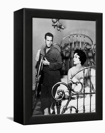 Cat on a Hot Tin Roof, 1958-null-Framed Premier Image Canvas