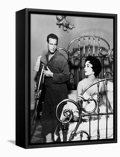 Cat on a Hot Tin Roof, 1958-null-Framed Premier Image Canvas