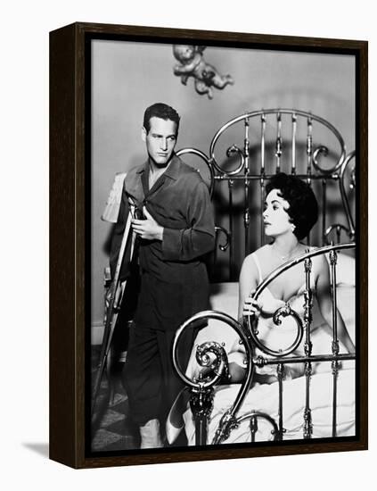 Cat on a Hot Tin Roof, 1958-null-Framed Premier Image Canvas