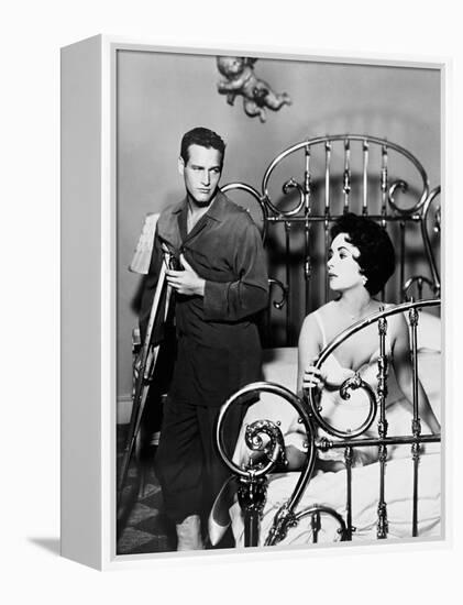 Cat on a Hot Tin Roof, 1958-null-Framed Premier Image Canvas