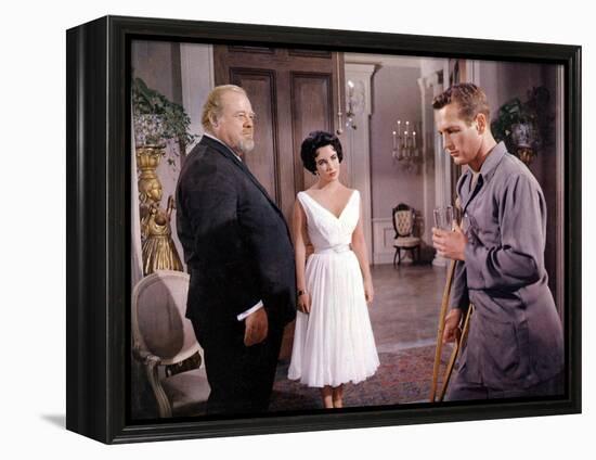 Cat on a Hot Tin Roof, Burl Ives, Elizabeth Taylor, Paul Newman, 1958-null-Framed Stretched Canvas