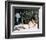 Cat on a Hot Tin Roof, Elizabeth Taylor-null-Framed Photo