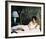 Cat on a Hot Tin Roof, Elizabeth Taylor-null-Framed Photo