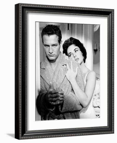 Cat on a Hot Tin Roof, Paul Newman, Elizabeth Taylor, 1958-null-Framed Photo