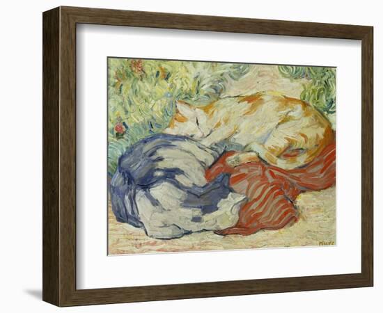 Cat on a Red Cloth, 1909/1910-Franz Marc-Framed Giclee Print