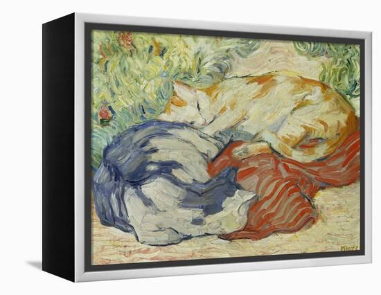 Cat on a Red Cloth, 1909/1910-Franz Marc-Framed Premier Image Canvas