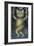 Cat on a Tightrope, Balancing with Bird and Mice-Wayne Anderson-Framed Giclee Print