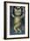 Cat on a Tightrope, Balancing with Bird and Mice-Wayne Anderson-Framed Giclee Print